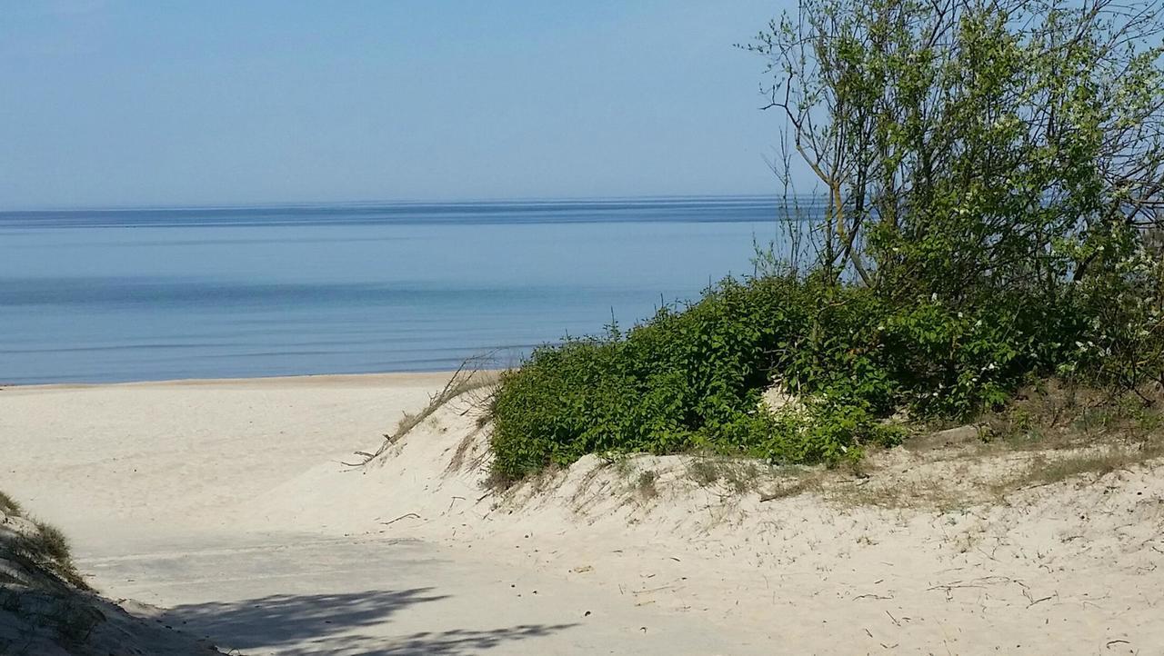Frejos Apartamentai - Centras Palanga Dış mekan fotoğraf